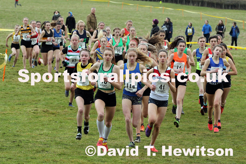 Womens under-17 Northern Cross Country Champs., Camp Hill Estate, Kirklington.  Photo: David T. Hewitson/Sports for All Pics